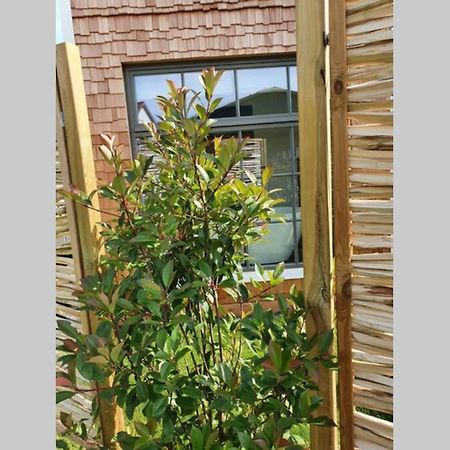 트레부르 Tiny Loft Im Suedhessischen Ried 아파트 외부 사진